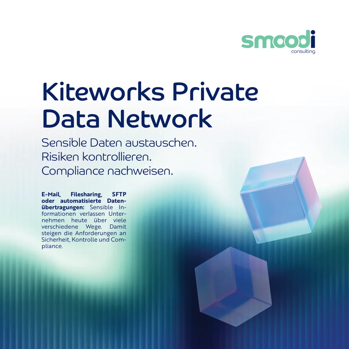 Kiteworks Private Data Network: Whitepaper-Vorschau